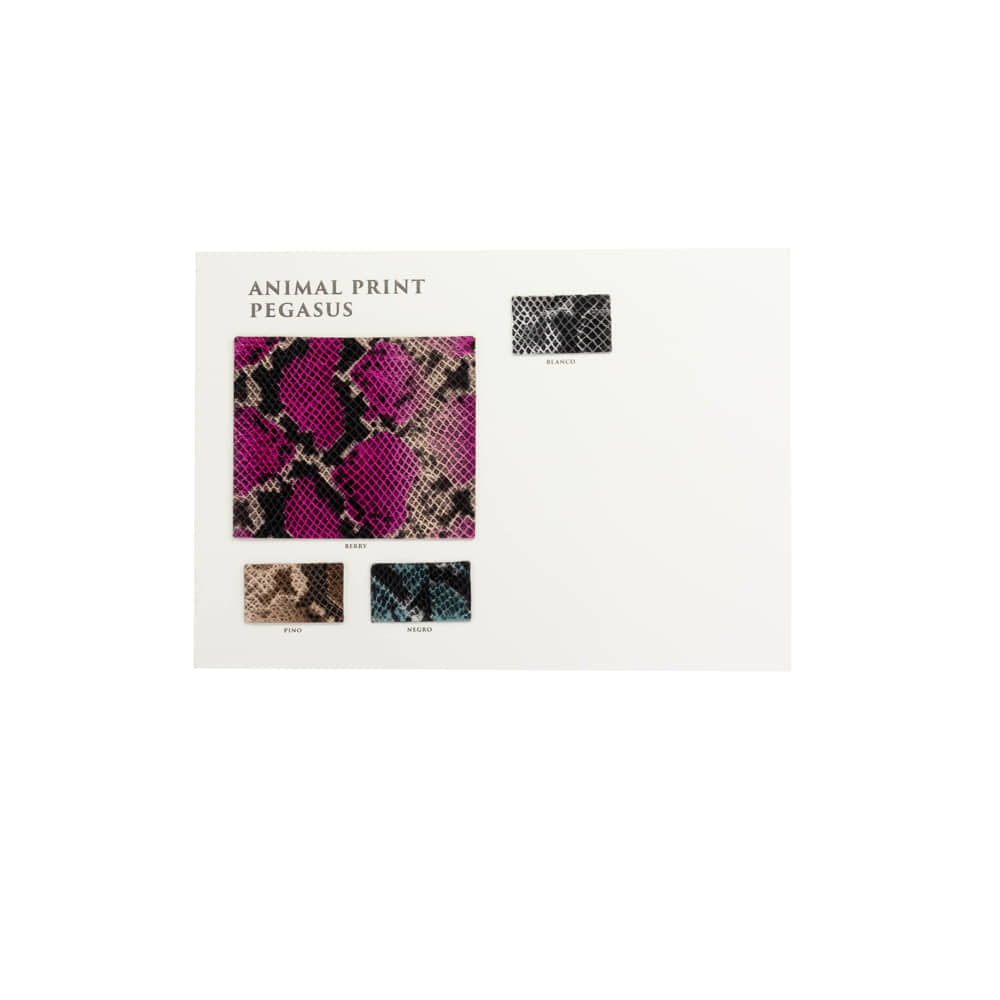 Color Swatches Ladies Couture Line