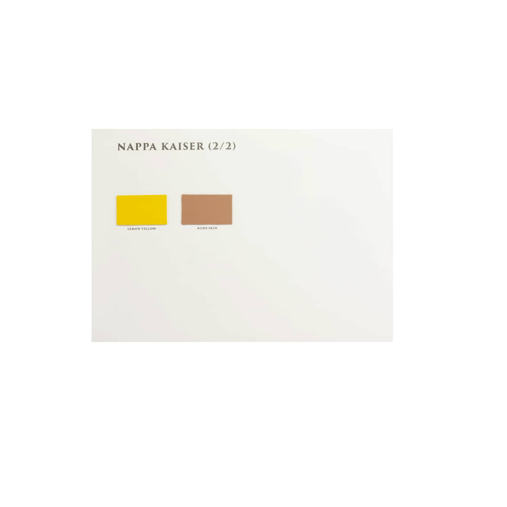 Color Swatches Ladies Couture Line