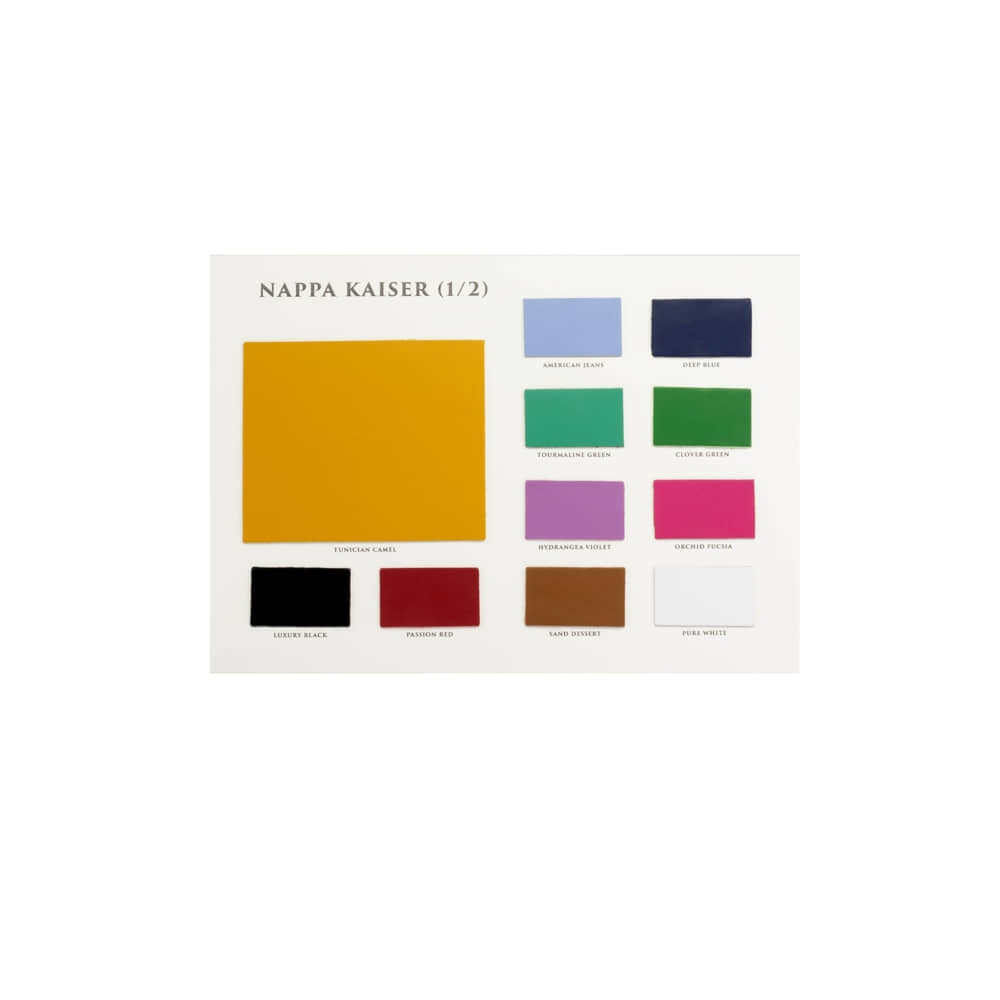 Color Swatches Ladies Couture Line